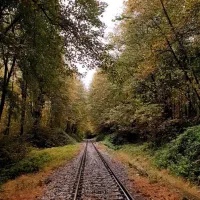 تور لفور تا اسپرز