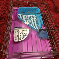 قفس خرگوش همستر خوکچه|لوازم جانبی حیوانات|فردیس, شهرک شهید حسینی|دیوار