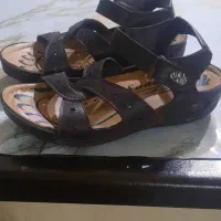 صندل زنانه نونو. سایز ۳۷ فقط ۲۵۰ هزارتومان