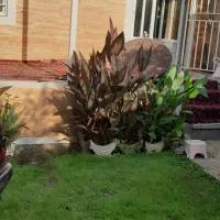 ویلا-باغ-300متری-لوکس-مهندسی-ساز