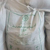 رامشیر کوت تریپل