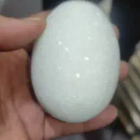 سنگ تخم مرغی