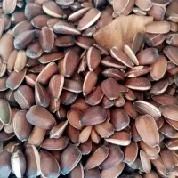 دان پرندگان|لوازم جانبی حیوانات|قلعه نو, |دیوار