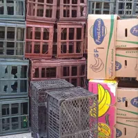 سبد کاهو ، کارتن موزی|فروشگاه و مغازه|دزفول, |دیوار