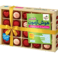 کتاب تیزهوشان وپایه۱۰