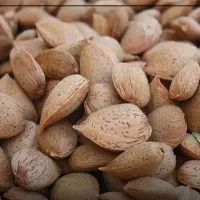 بادام شیرین