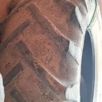 لاستیک بارز ۲۸۵