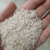 برنج ۳۸۶پاکستانی