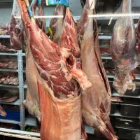 گوشت گرم تازه قیمت مناسب