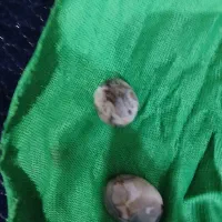 مهره محبت|کلکسیون اشیاء عتیقه|خرمشهر, |دیوار