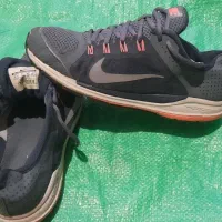 کفش تاناکورا