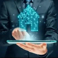 فروش-رو-به-آفتاب-مهارت-جنوبی