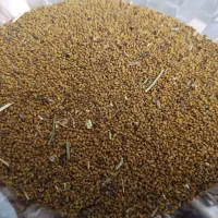 بذر|حراج|دیواندره, |دیوار