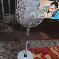 پنکه|پنکه و تصفیهکنندهٔ هوا|گرگان, |دیوار