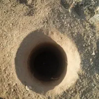 چاله کن نهال ۱۰|خدمات باغبانی و درختکاری|مسجد سلیمان, |دیوار