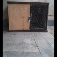 قفس مرغ