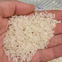 فروش برنج هاشمی