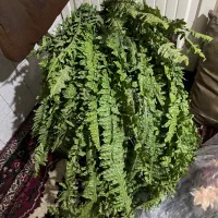 گل مصنوعی|گل مصنوعی|قم, نیروگاه|دیوار