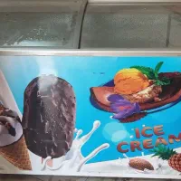 یخچال بستنی درحدنو
