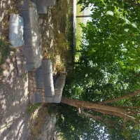 ۷/۵هکتارزمین کشاورزی شش دانگ