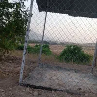 باغ|فروش زمین و ملک کلنگی|شازند, |دیوار