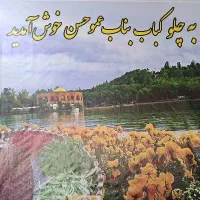 یک نفر خانم