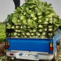 حرکت نیسان از ایذه به اهواز