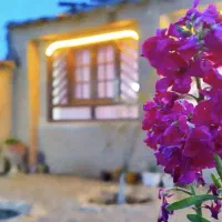 اجاره سوییت باغی