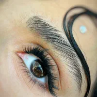 کاشت مژه هیدن تخفیف ویژه|خدمات آرایشگری و زیبایی|رشت, منظریه|دیوار