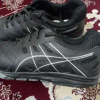 کفش سالنی|کیف، کفش، کمربند|زارچ, |دیوار