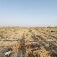 یه قطعه زمین حاصلخیز به متراژ ۵۰۰ متر مربع|فروش زمین و ملک کلنگی|تنکمان, |دیوار