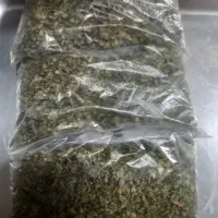 سبزی کوهی( ملر )