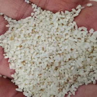 برنج فروشی|خوردنی و آشامیدنی|رضوانشهر, |دیوار