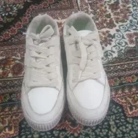 زنانه کفش|کیف، کفش، کمربند|خوی, |دیوار