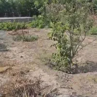 فروش زمین ۵۰۰ متری رباط کریم وهن آباد نوده دوم