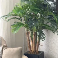 درختچه مصنوعی کنتیا