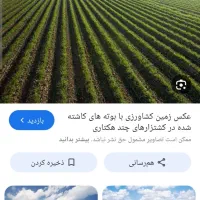 شبدر و گیاه