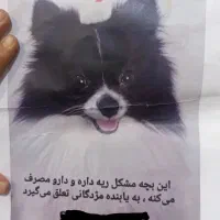 گمشده