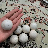 الماس اسیاب