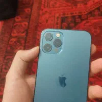 iPhone 12pro|موبایل|ساوه, |دیوار