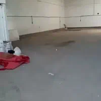 اجاره-سالن-در-کندرود-پشت-بستنی-وحید