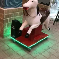 اسب برقی|اسباببازی بچه|بوشهر, |دیوار