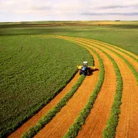 ۶ هکتار زمین اجاره ای.