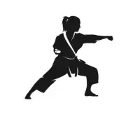 سمینار کاراته