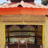 حصیرایرانی وخارجی