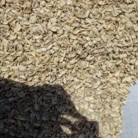 خریدار پوست پسته، تناژ بالا