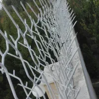 عنواع شاخ گوزنی