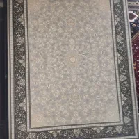 قالی دوازده متری یک جفت|فرش|فیروزآباد (فارس), |دیوار