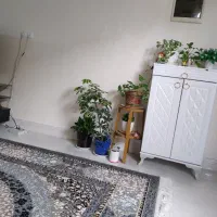 همخونه یک نفر خانم