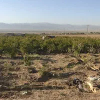 ملک معاوضه|فروش زمین و ملک کلنگی|ساوه, |دیوار